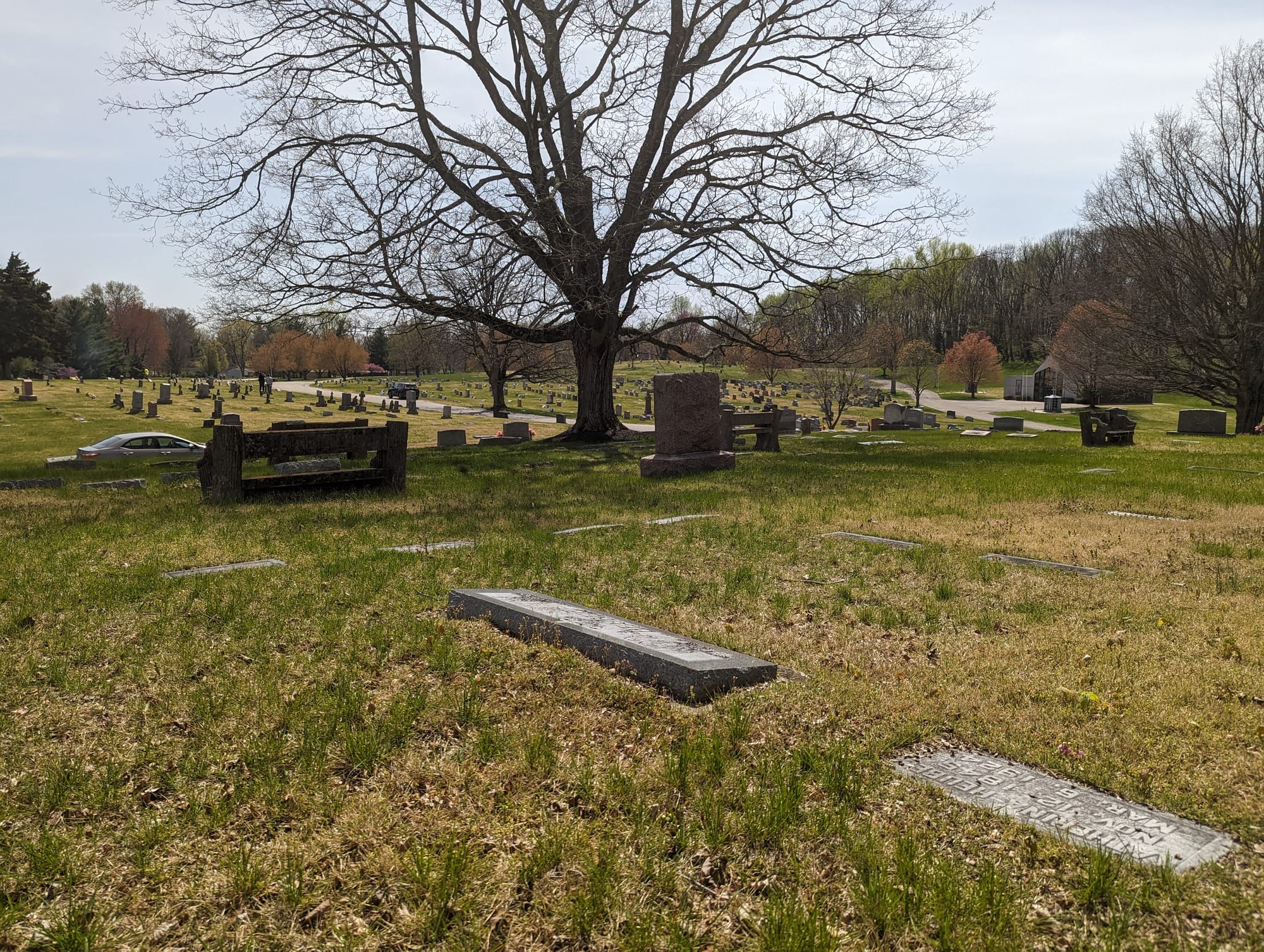 A cemetery seen during daytime