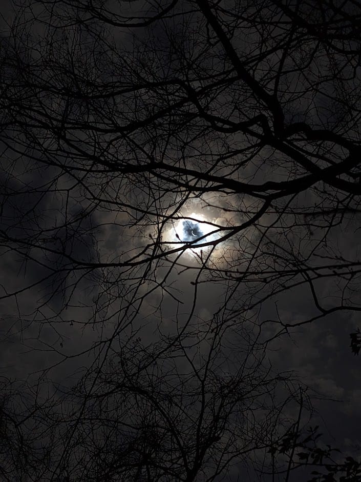 The solar eclipse seen through tree branches and a break in the clouds