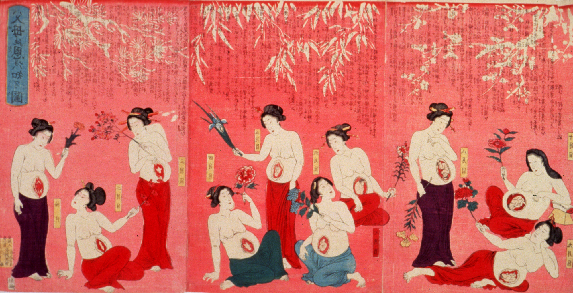 A print showing mothers standing or reclining in increasingly later stages of pregnancy