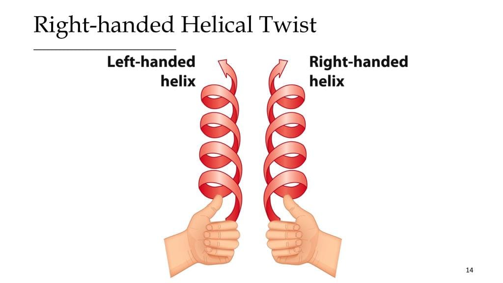 A diagram showing a left handed helix twisting around to the left and a right handed helix twisting around to the right