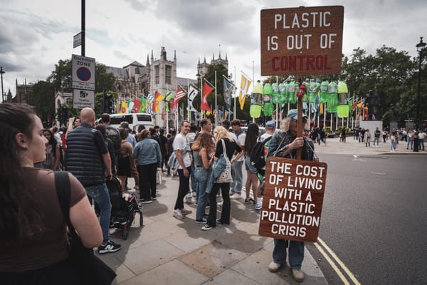 An activist with a picket and sign about the plastic pollution crisis 